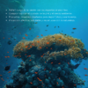 Cyan - Image 6